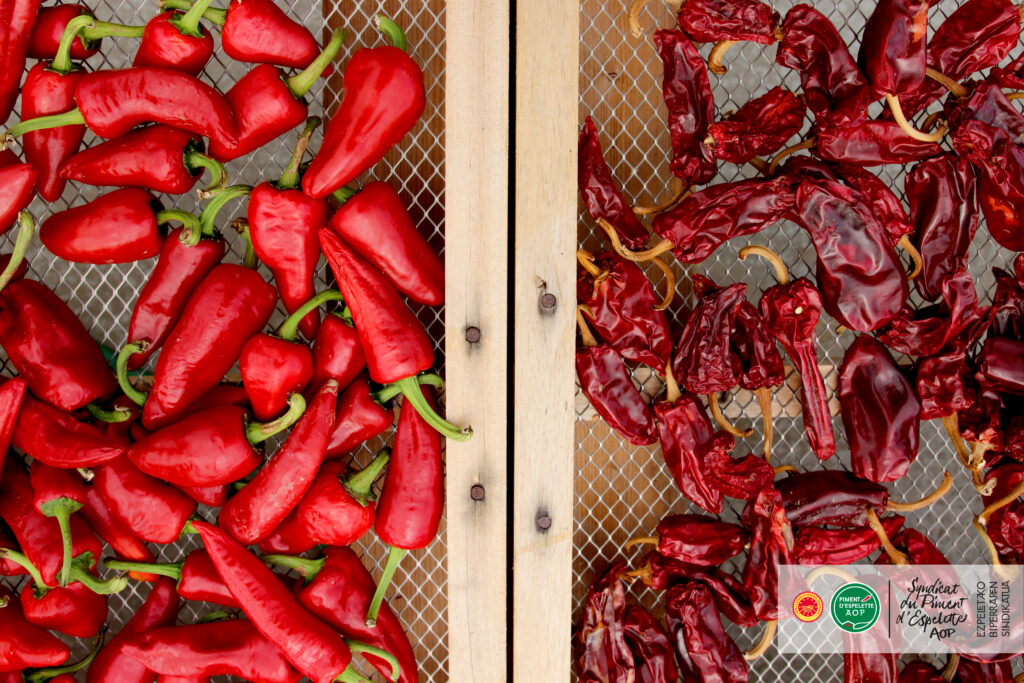 Freshly harvested and dried Piment d'Espelette
© Photothèque Piment d’Espelette AOP