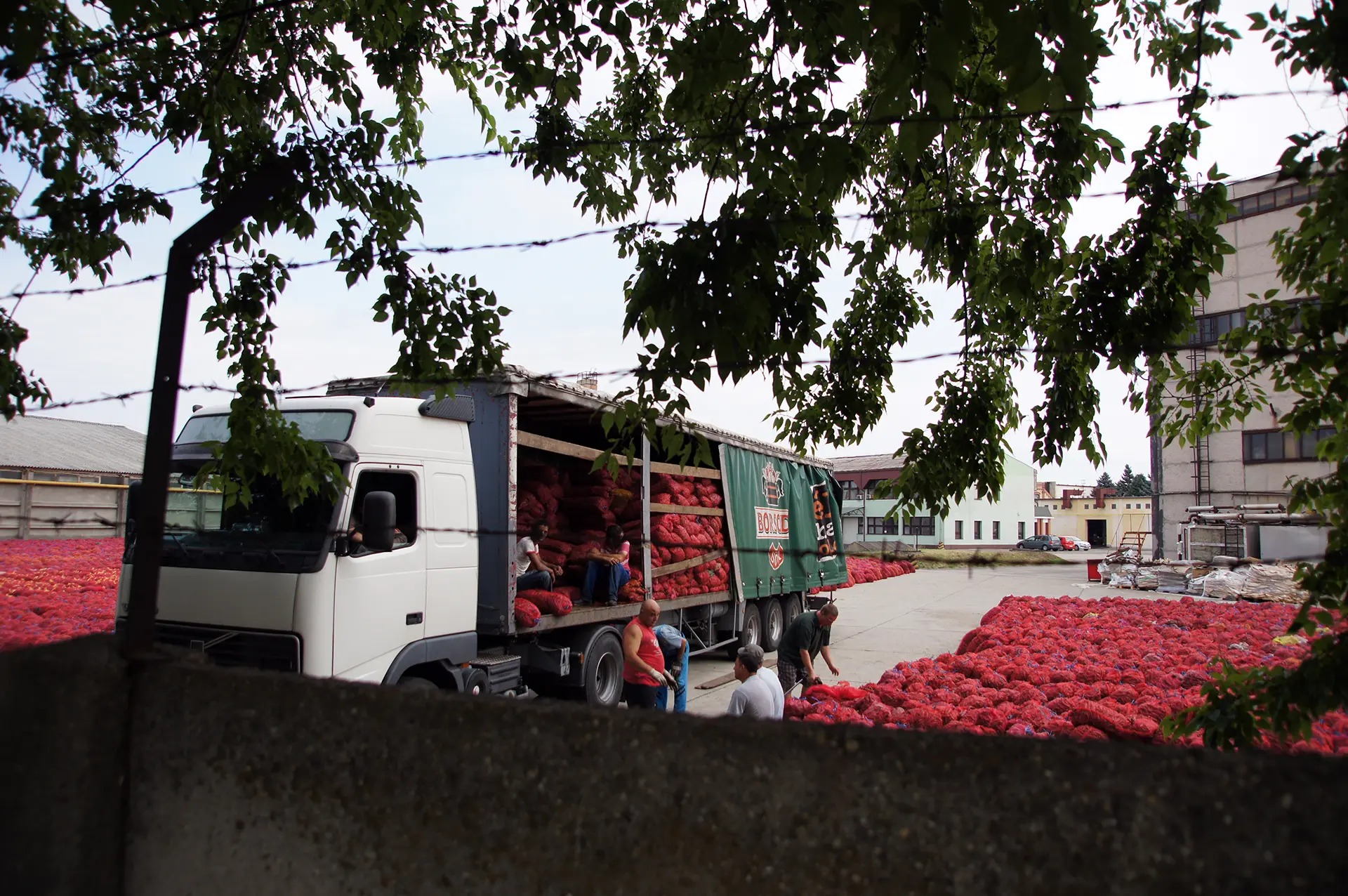 Hungarian Paprika: The Spice of a Nation